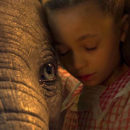 Dumbo 2019