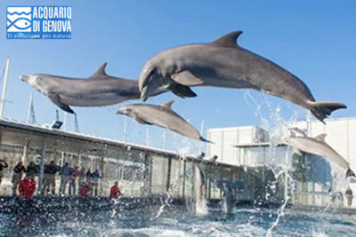 Acquario di Genova