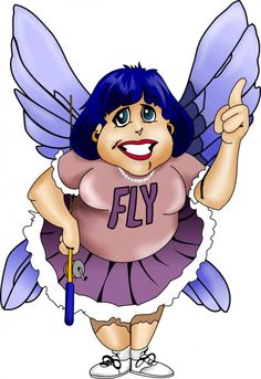 Flylady babystep